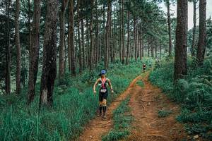 BIB: 
                            <button type="button" onclick="openModal(25659643)" class="btn btn-primary btn-sm float-right btn-popup" data-toggle="modal" data-target=".modal-high-quality">
                        <i class="fas fa-shopping-cart"></i> Add to Cart
                    </button>
                                            <button type="button" onclick="isThisMe(25659643, true)" class="btn btn-success btn-sm float-right btn-popup btn-isme hidden" data-toggle="tooltip" data-placement="bottom" title="นี่คือรูปของคุณใช่ไหม คลิกที่นี่เพื่อเอาเข้าอัลบั้ม">
                        <i class="fas fa-plus"></i> Add to album
                    </button>
                    <button type="button" onclick="isThisMe(25659643, false)" class="btn btn-warning btn-sm float-right btn-popup btn-isnotme hidden">
                        <i class="fas fa-ban"></i> Remove from album
                    </button>